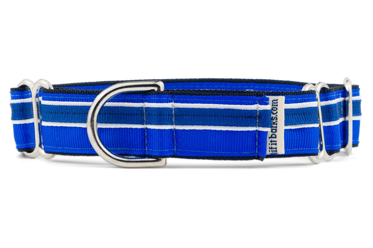 If It Barks 1'' Martingale Collar For Dogs, Adjustable Nylon, Usa Made, Medium, Blueberry