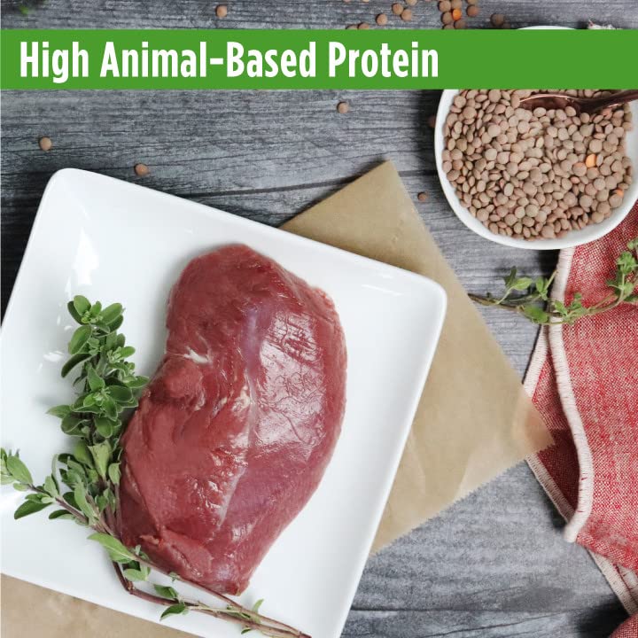 Nulo Freestyle Indoor Cat Food, Premium Grain-Free Dry Small Bite Kibble, All Natural Animal Protein Recipe with BC30 Probiotic