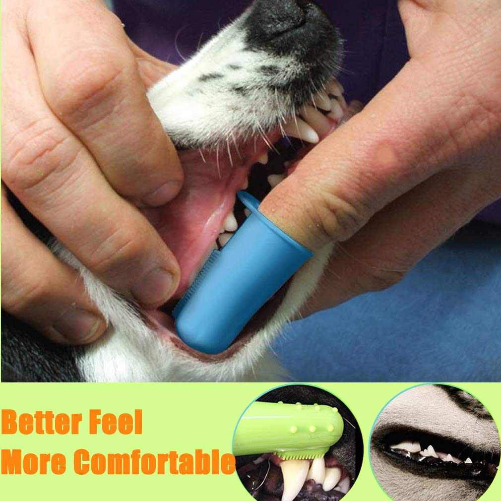 Zeyaa 10 Pack Pet Dog Toothbrush, 2 Triple Head Pet Toothbrushes 3 Double Head Tooth Brush 5 Pack Finger Rubber Toothbrushes, Mu