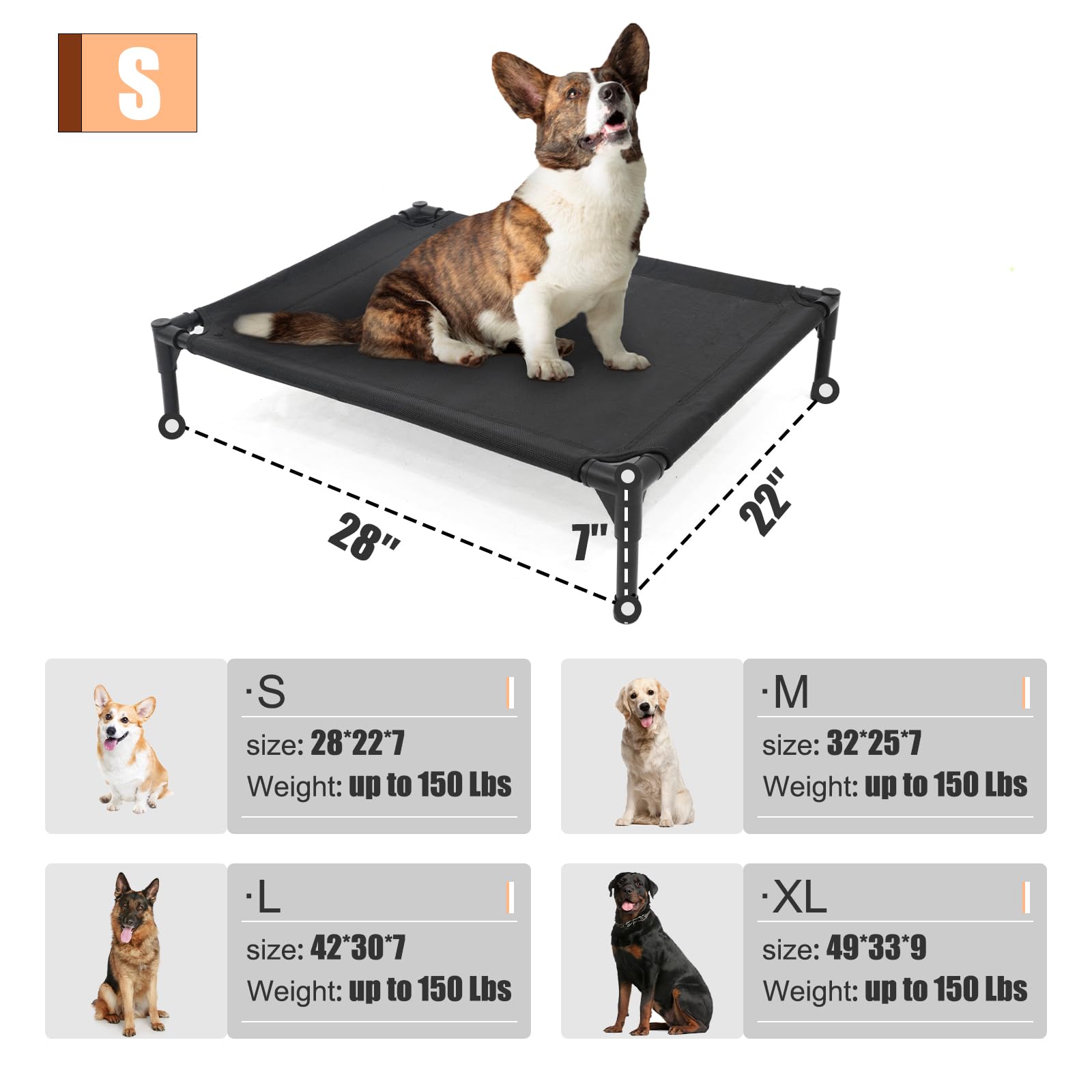 Garnpet Elevated Dog Bed for Small Dogs, Heavy Duty Green Cot with Washable Mesh, Supports up to 150 LBs, Indoor & Outdoor Use