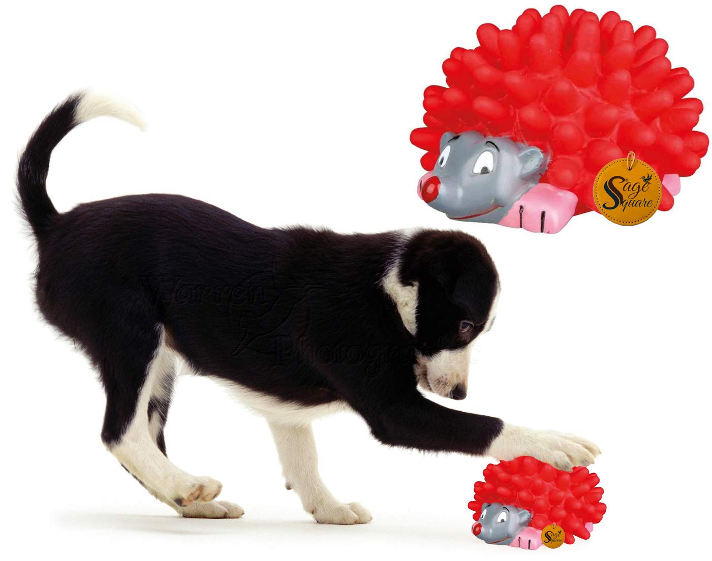 Sage Square Playful Procupine Squeaky Toy For Playtime Of Cute Friend Of Natural Rubber For Dog/ Puppy/ Kitten/ Cat (Red)