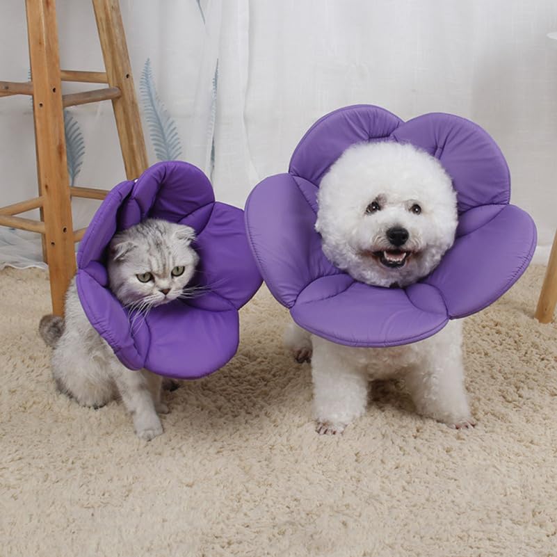 POPETPOP Small Dog Recovery Collar - Cute Cat Flower Neck Cone After Surgery, Adjustable Pet Collar, Surgery Recovery Elizabetha