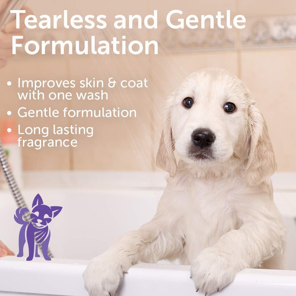 Nootie - Pet Shampoo For Sensitive Skin - Revitalizes Dry Skin & Coat - Natural Ingredients - Soap, Paraben & Sulfate Free - Cleans & Conditions 16 Oz
