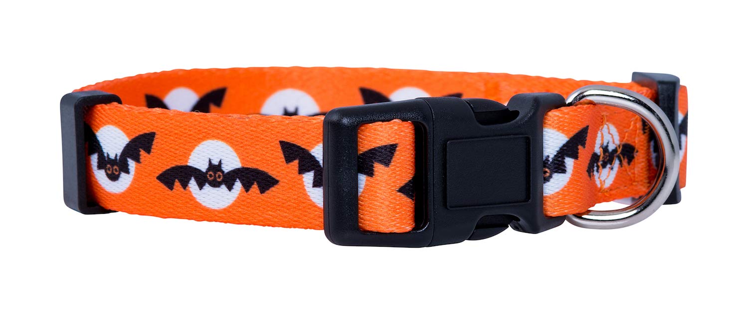 Native Pup Halloween Dog Collar (Small, Bats And Moon)