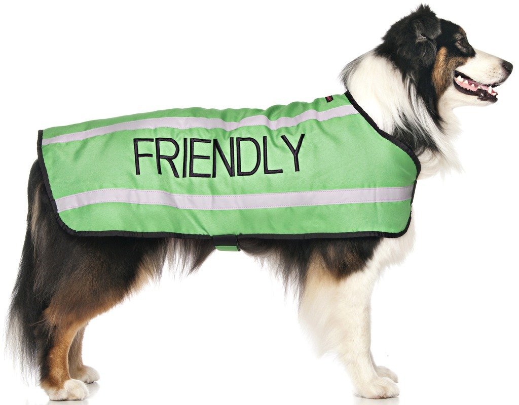 Dexil Limited Friendly Green Warm Dog Coats S-M M-L L-Xl Waterproof Reflective Fleece Lined (Known As Friendly) Prevents Accidents By Warning Others Of Your Dog In Advance (M-L Back 17' (43Cm))