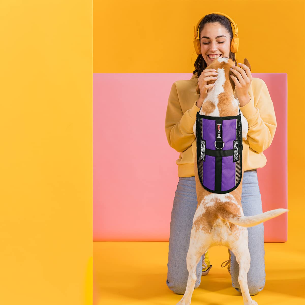 Dogline Maxaire Multi-Purpose Mesh Vest For Dogs And 2 Removable Emotional Support Patches, Small, Purple, (13'-16')