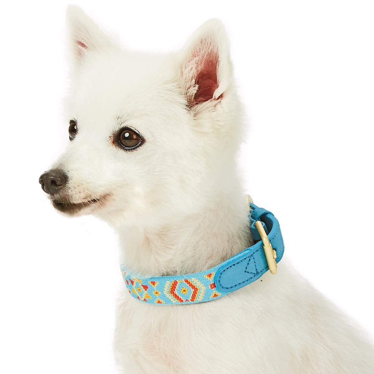 Blueberry Pet 3 Patterns Southwestern Magical Tribal Print Genuine Leather & Polyester Fabric Combo Dog Collar with Metal Buckle