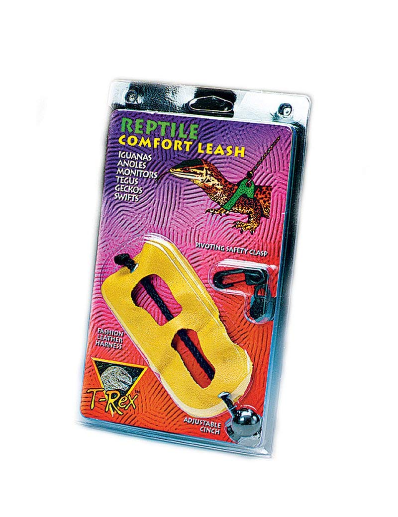 T-Rex Lizard Accessory - Comfort Leash (X Large)