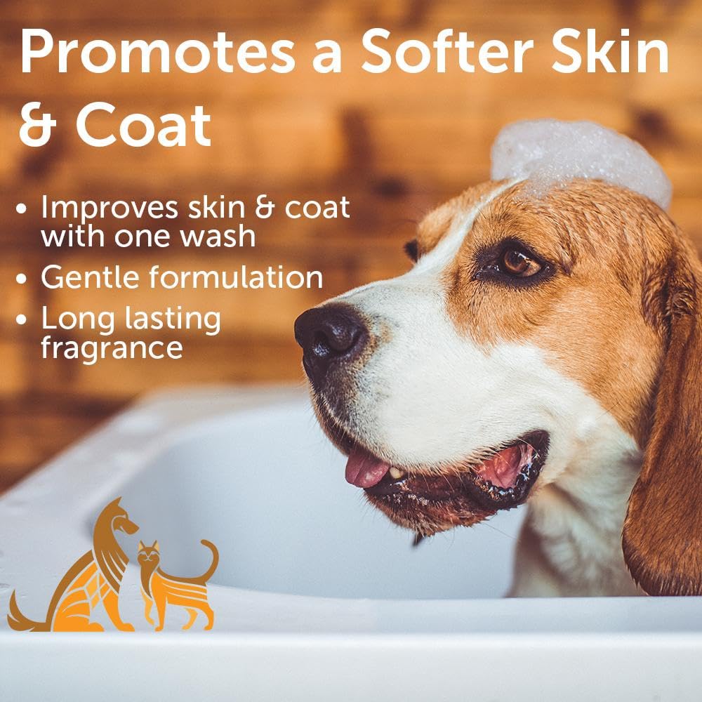 Nootie - Pet Shampoo For Sensitive Skin -  Revitalizes Dry Skin & Coat - Natural Ingredients - Soap, Paraben & Sulfate Free - Cl