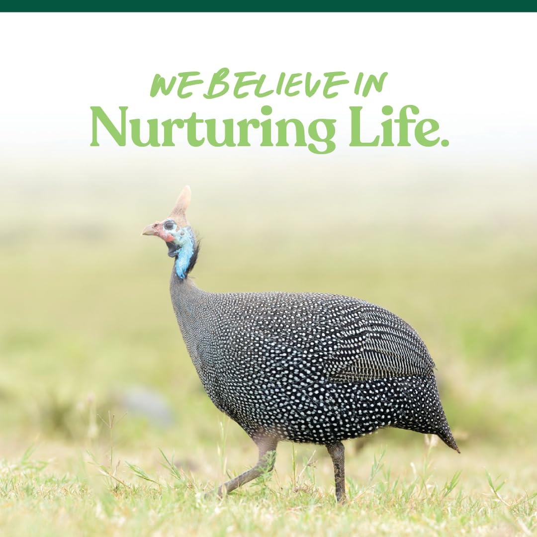 Manna Pro All Flock Crumbles, 16% Protein, Complete Feed for Poultry & gamebirds. Contains probiotics for Digestion, no Artifici