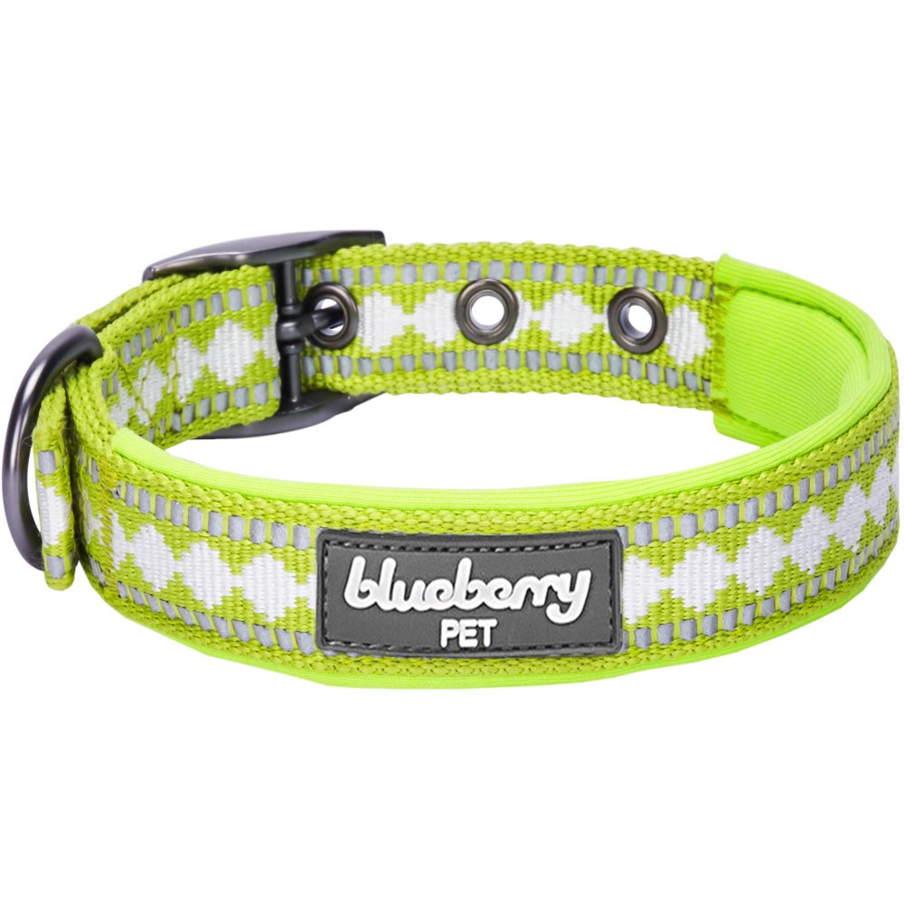 Blueberry Pet Soft & Safe 3M Reflective Jacquard Neoprene Padded Adjustable Dog Collar With Metal Buckle - Macaw Green, Neck 13-