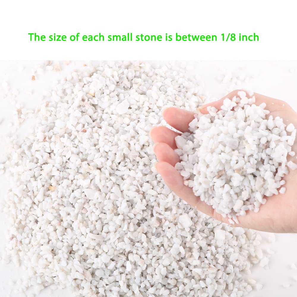 Avalution 6mm-8mm White Gravel Succulents and Cactus Bonsai DIY Projects Rocks White Onyx Plant Rocks Garden Outdoor Indoor Grav