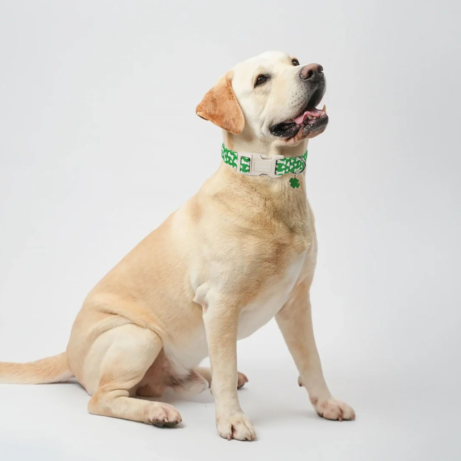 Lionet Paws St. Patrick Dog Collar- Cute Clover Bone Green Dog Collars With Plastic Buckle, Light Adjustable Dog Collars With Cl