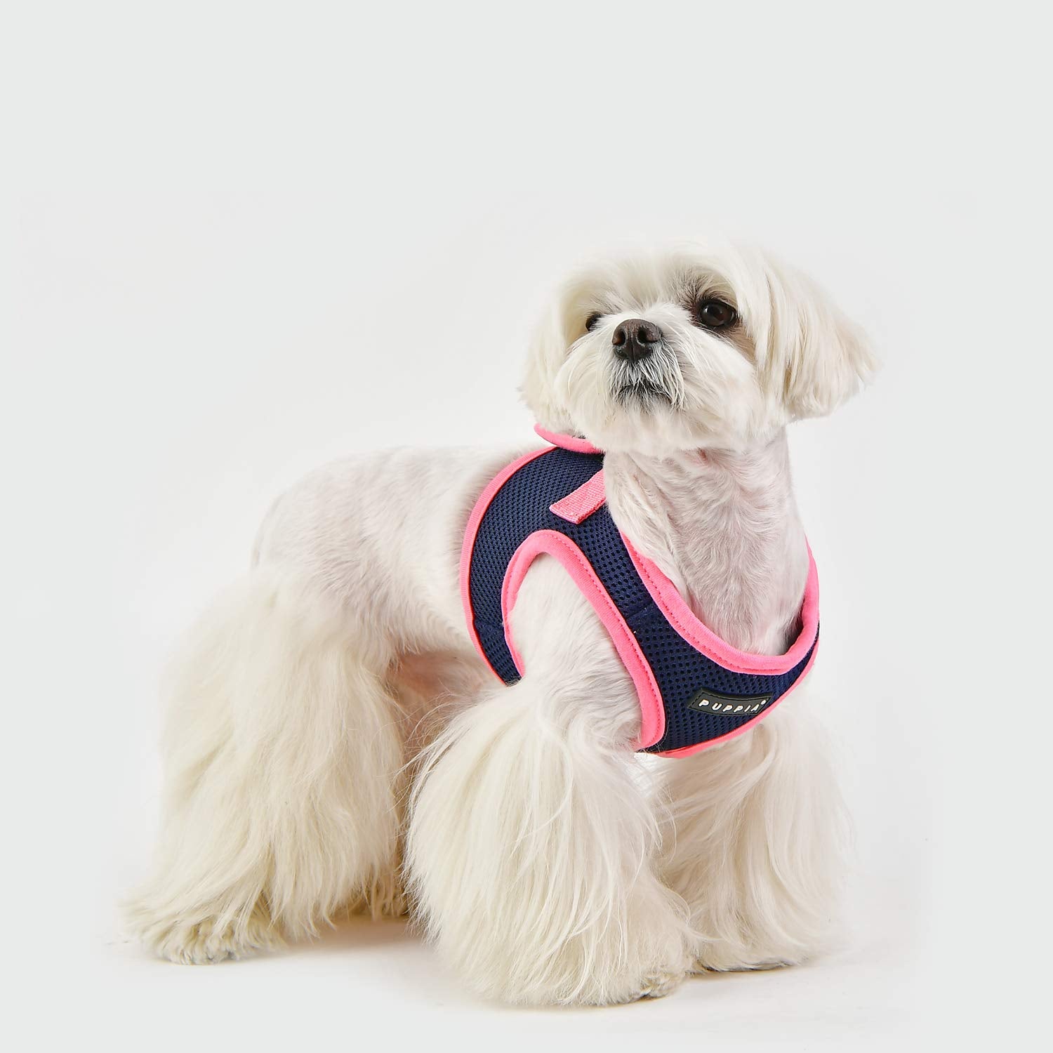 Puppia Soft Vest Harness B Ii - Navy - M