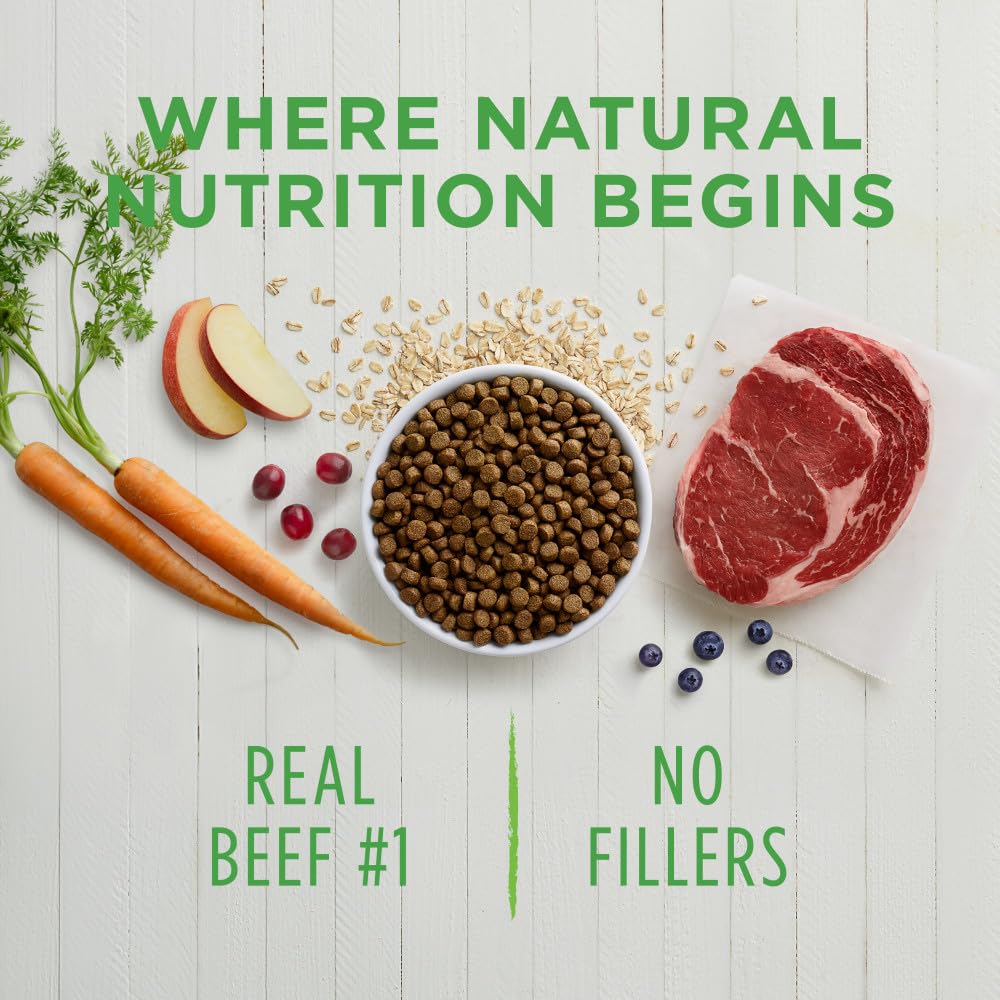 Be Natural Beef & Barley Dry Dog Food, 4.5 lb. Bag