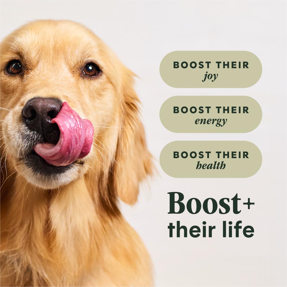 Instinct Raw Boost, Natural Dry Dog Food with Freeze Dried Pieces, High Protein, Grain Free Recipe - Real Salmon, 3.5 lb. Bag