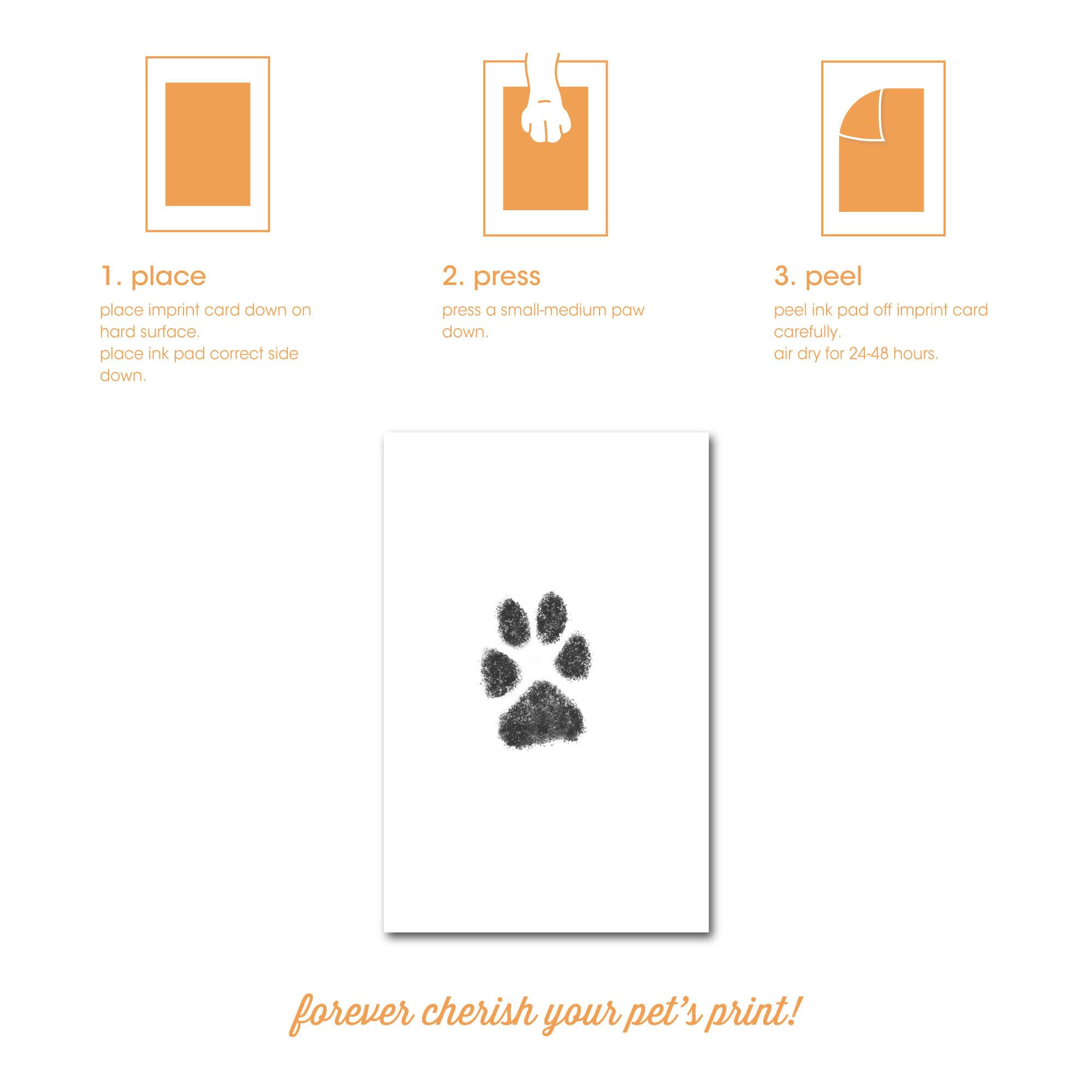 Pearhead Pet Pawprints Desk Picture Frame, Pet Memorial Keepsake, White Photo Frame For Pet, Imprint Kit