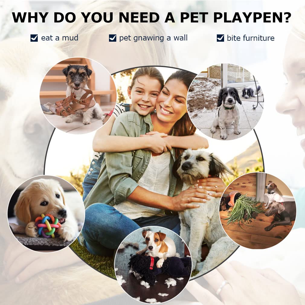 Bestpet 48 Inch 42 Inch Large Dog Crate Dog Cage Dog Kennel Metal Wire Double-Door Folding Pet Animal Pet Cage With Plastic Tray