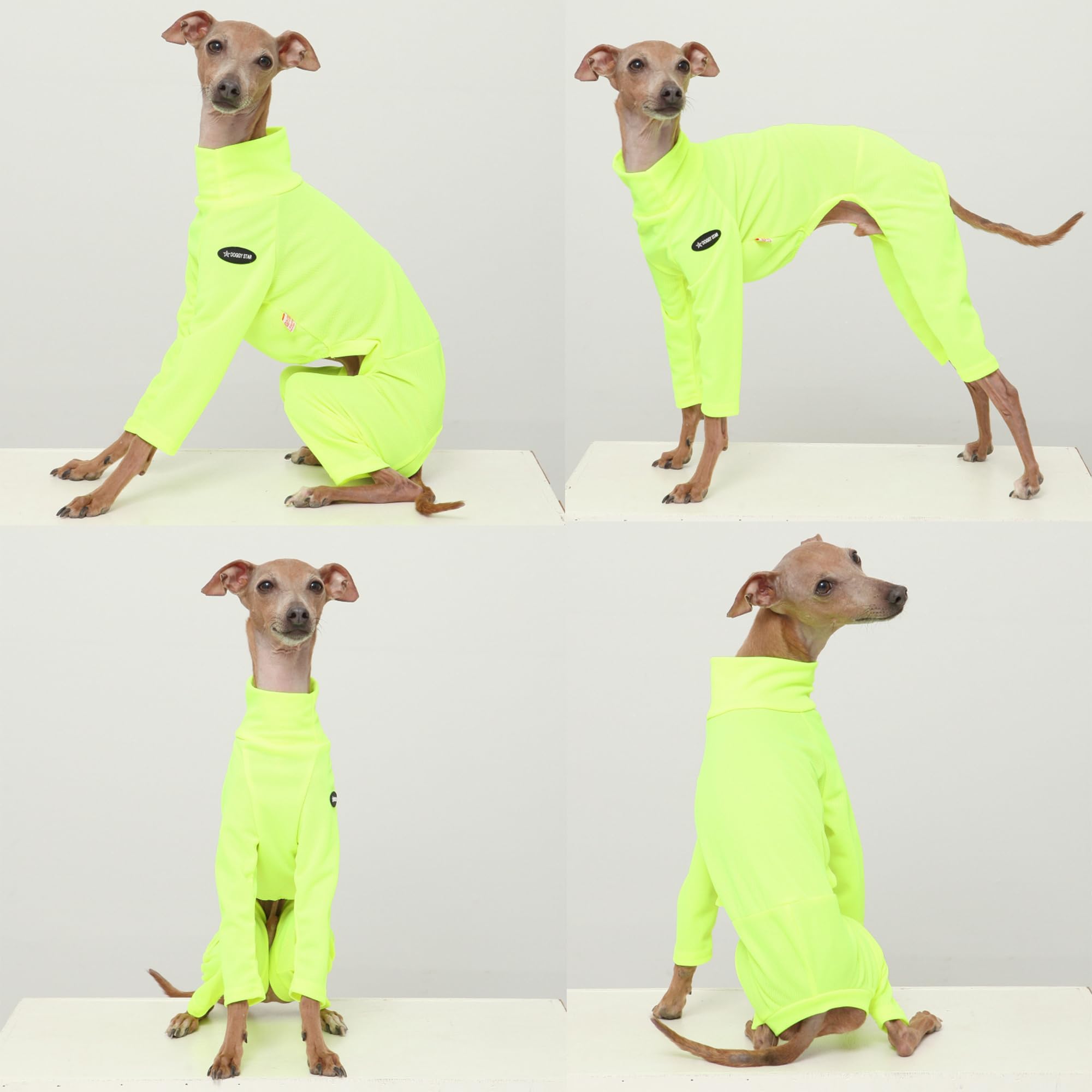 D Doggy Star Italian Greyhound Clothes Strechy Neon Onsie Spring Summer (S,Onsi Ne Yellow)