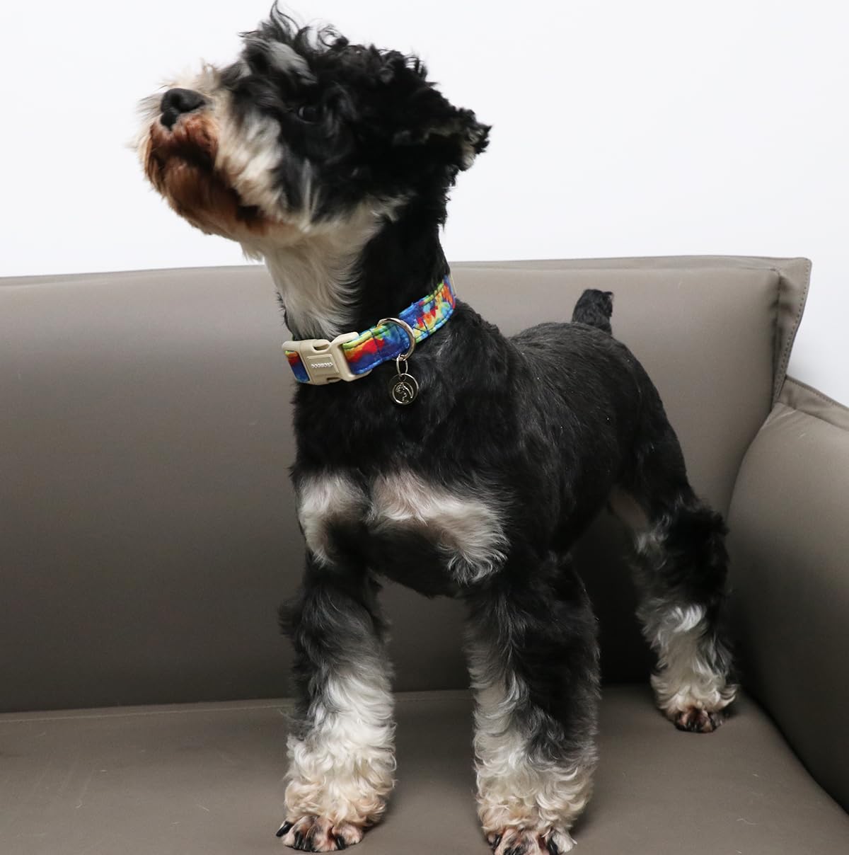 Dogwong Cotton Dog Collar - Soft Natural Fabric Spring Summer Wedding Puppy Necklace For Small Medium Large Dogs