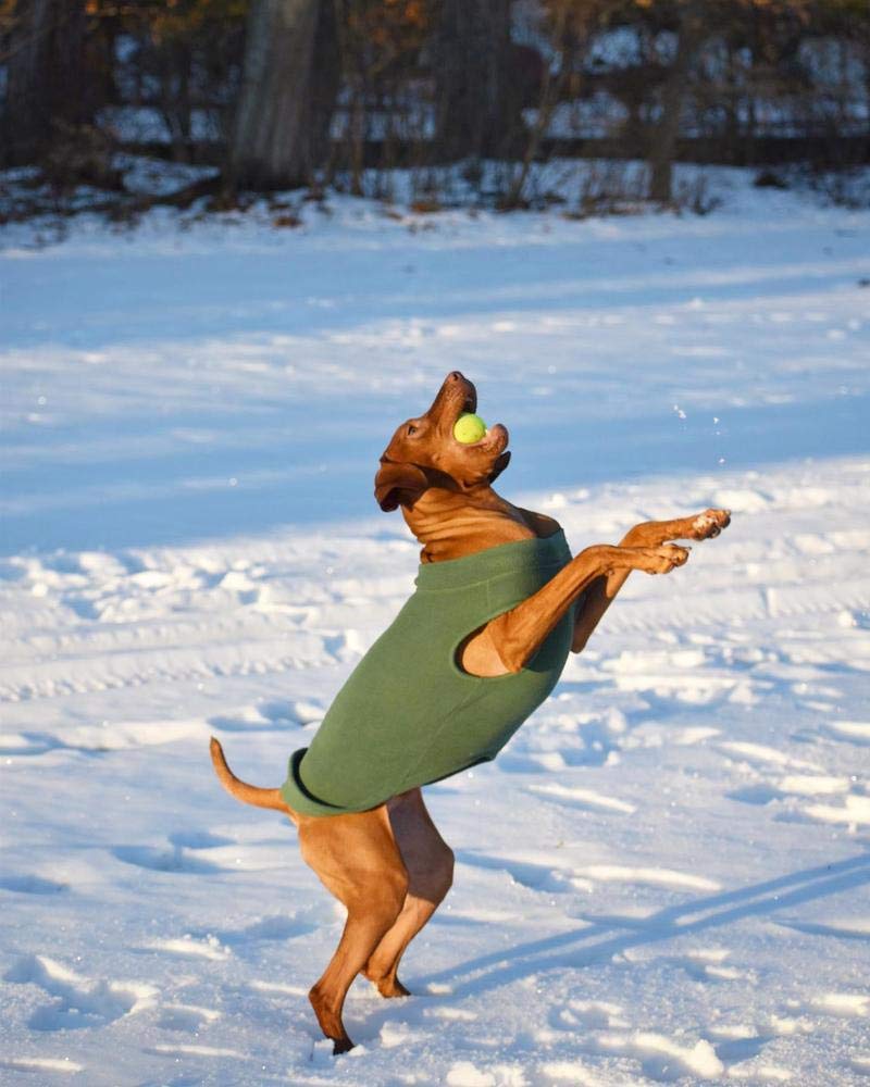 Gooby Stretch Fleece Vest Dog Sweater - Warm Pullover Fleece Dog Jacket - Winter Dog Clothes For Small Dogs, Large Dogs, Boy Or Girl - Soft, Super Stretchy Fleece Vest Dog Sweater - Gray, 6X-Large