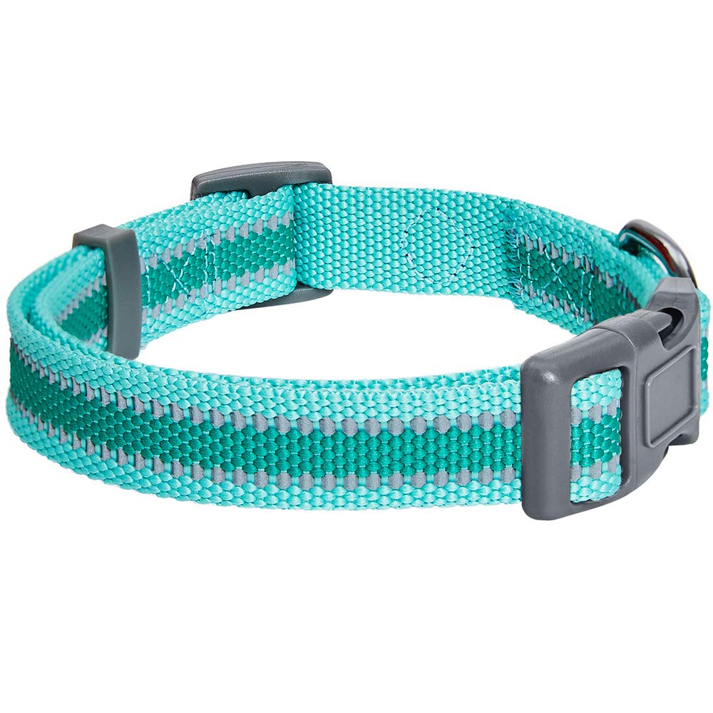 Blueberry Pet Essentials Reflective Back To Basics Adjustable Dog Collar, Minty Green, Medium, Neck 14.5'-20'