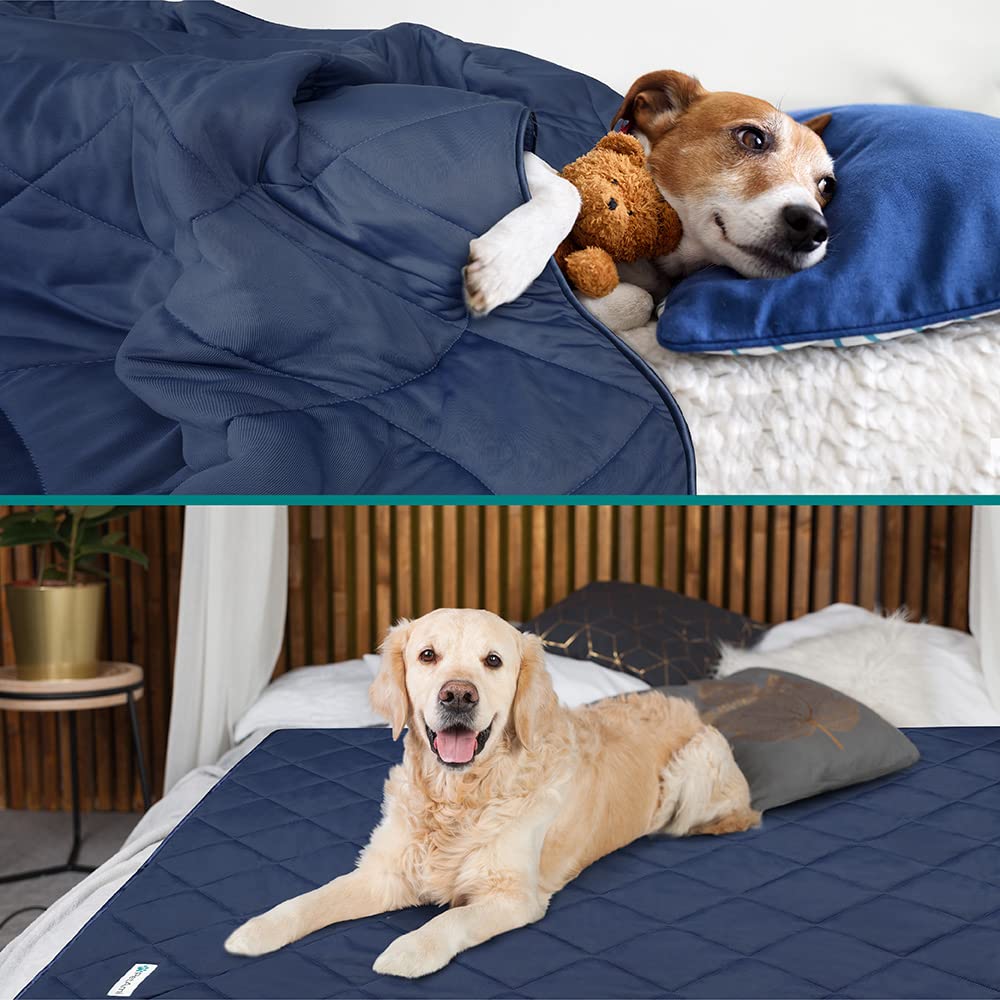 Petami Premium Cooling Dog Blanket | Lightweight Fluffy Pet Throw Blanket Bed Cover For Dogs, Cat, Puppies | Pet Blanket Furniture Protector Couch Sofa | Reversible Fuzzy Cozy | 90X90, Navy Blue
