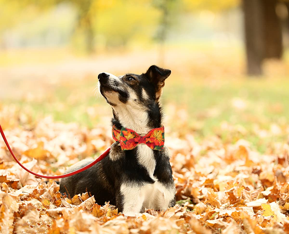 Dogwong Cotton Dog Collar And Bowtie, Detachable Bowtie Dog Collar For Boy Girl Pet Dog