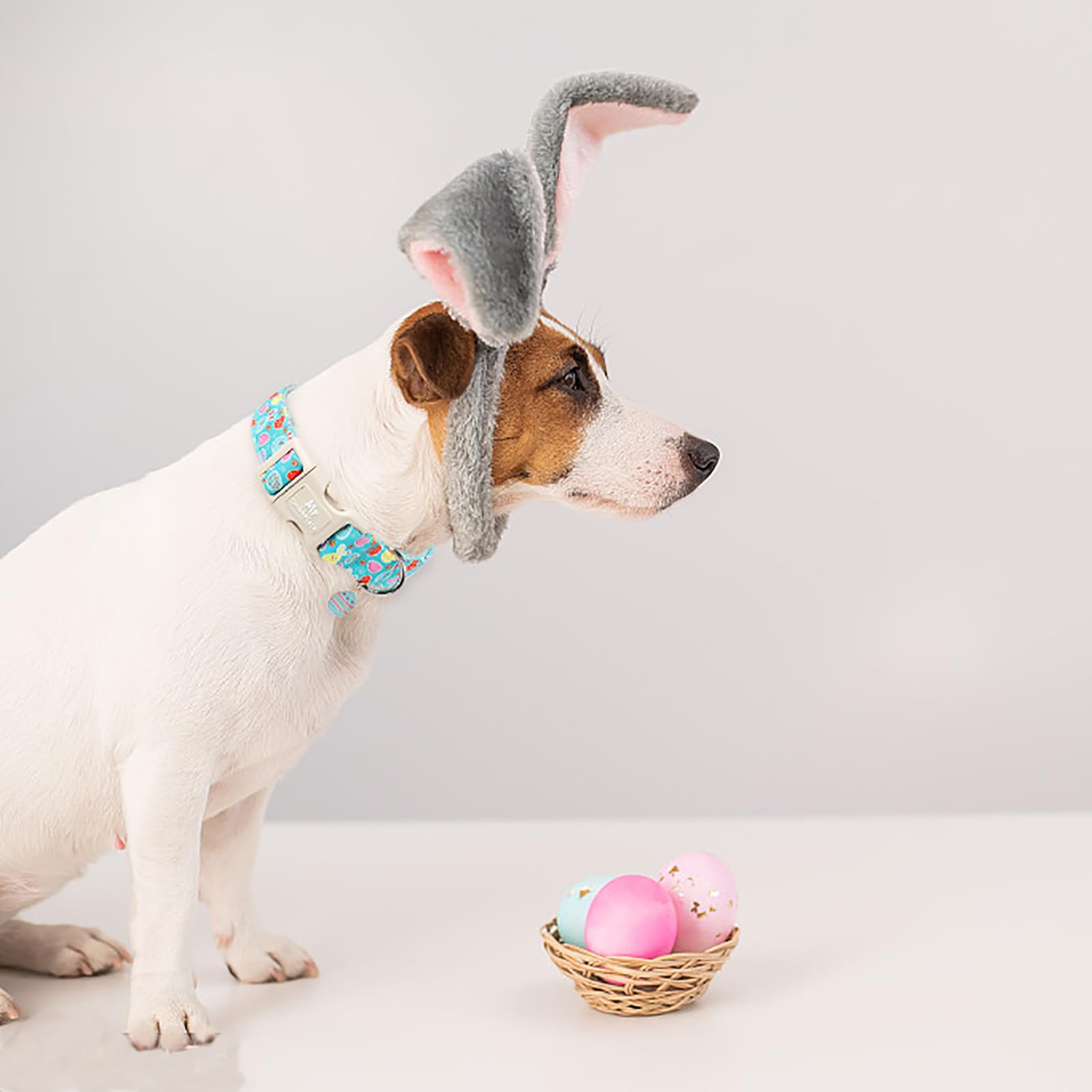Mr.Chubbyface Easter Dog Collar, Bunny Eggs Print Dog Collars,Soft Durable Adjustable Colorful Eggs Pet Collar, Cute Easter Coll