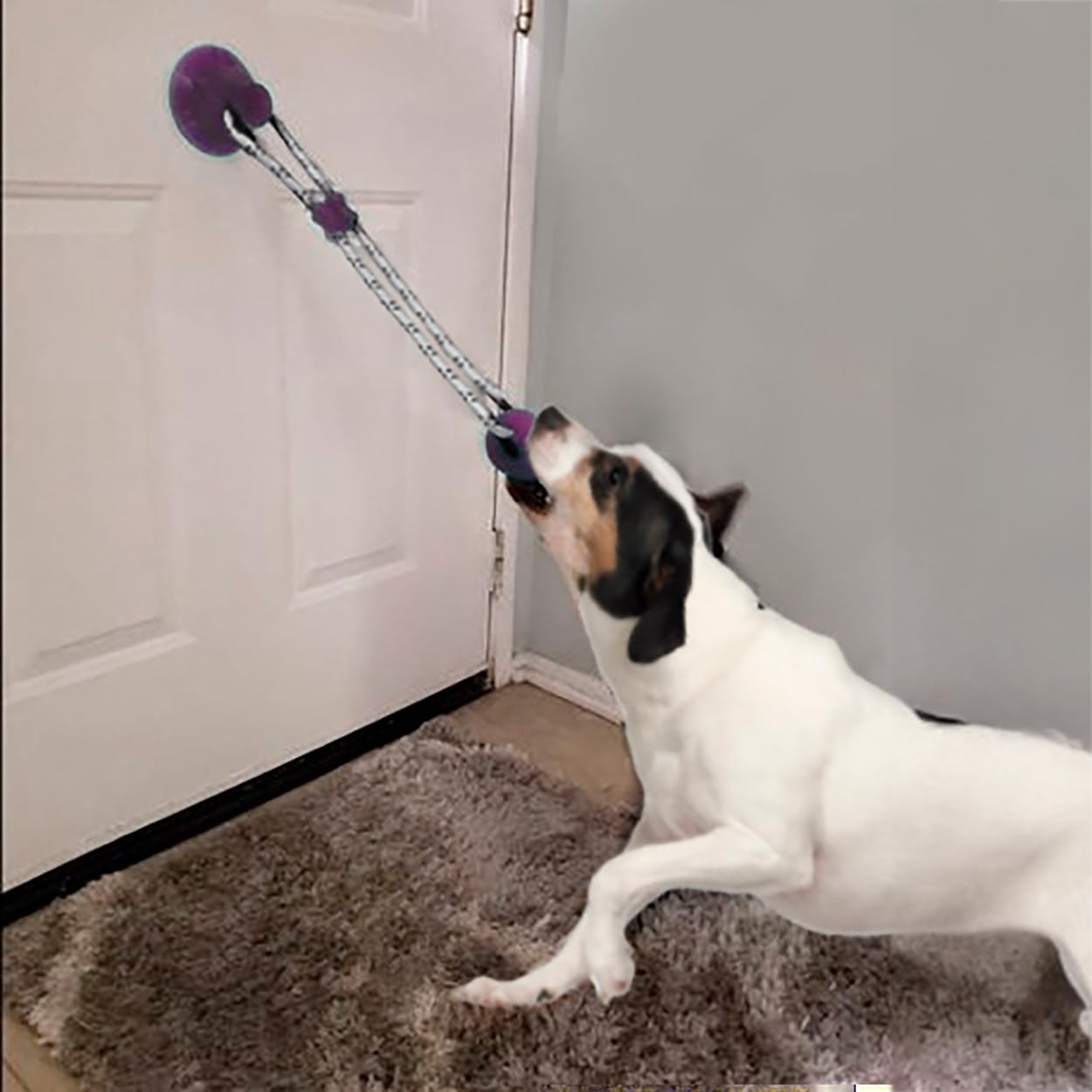 SPOT Press & Pull Interactive Dog Toy 17''