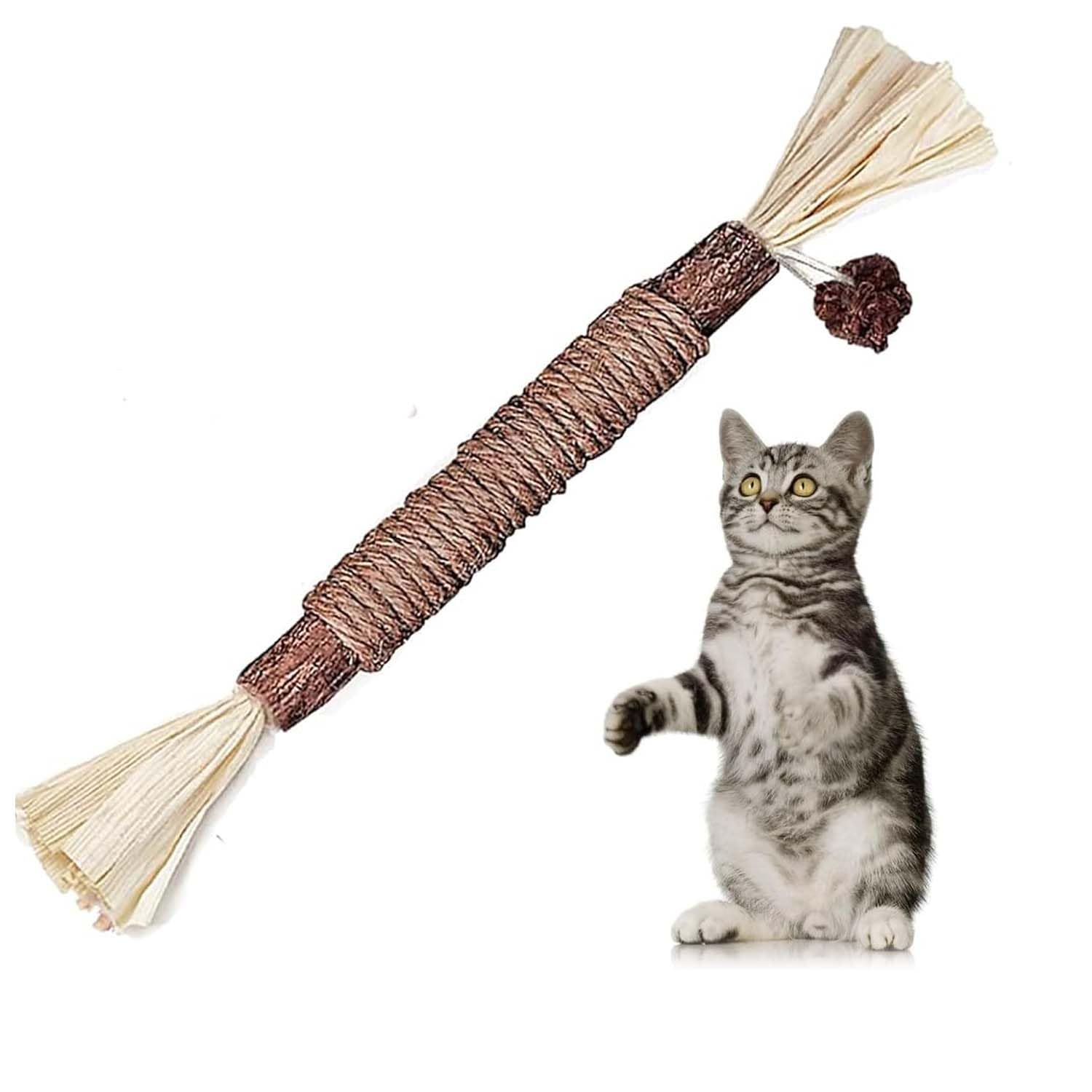 Homeaura Silvervine Cat Toy  1 Pack, Natural Matatabi Sticks For Indoor Cats, Kitten Chew Toys, Aggressive Chewers, Dental Toy 
