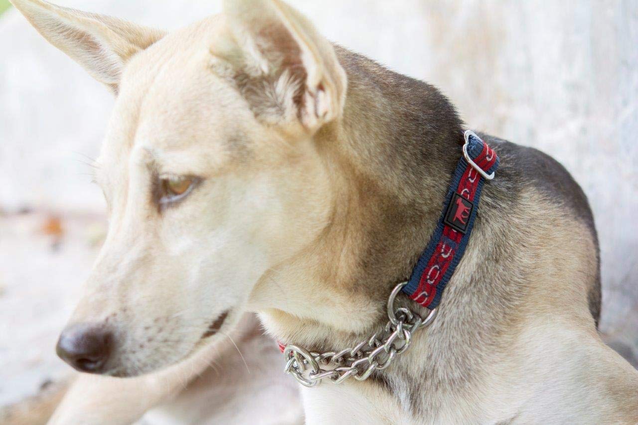 Tuff Pupper Martingale Collar For Dogs Is Perfect For Training | No Pull Dog Collar With Adjustable Gentle Nylon & Steel Chain | Convenient Sizing For All Breeds Large (18-26' Neck)