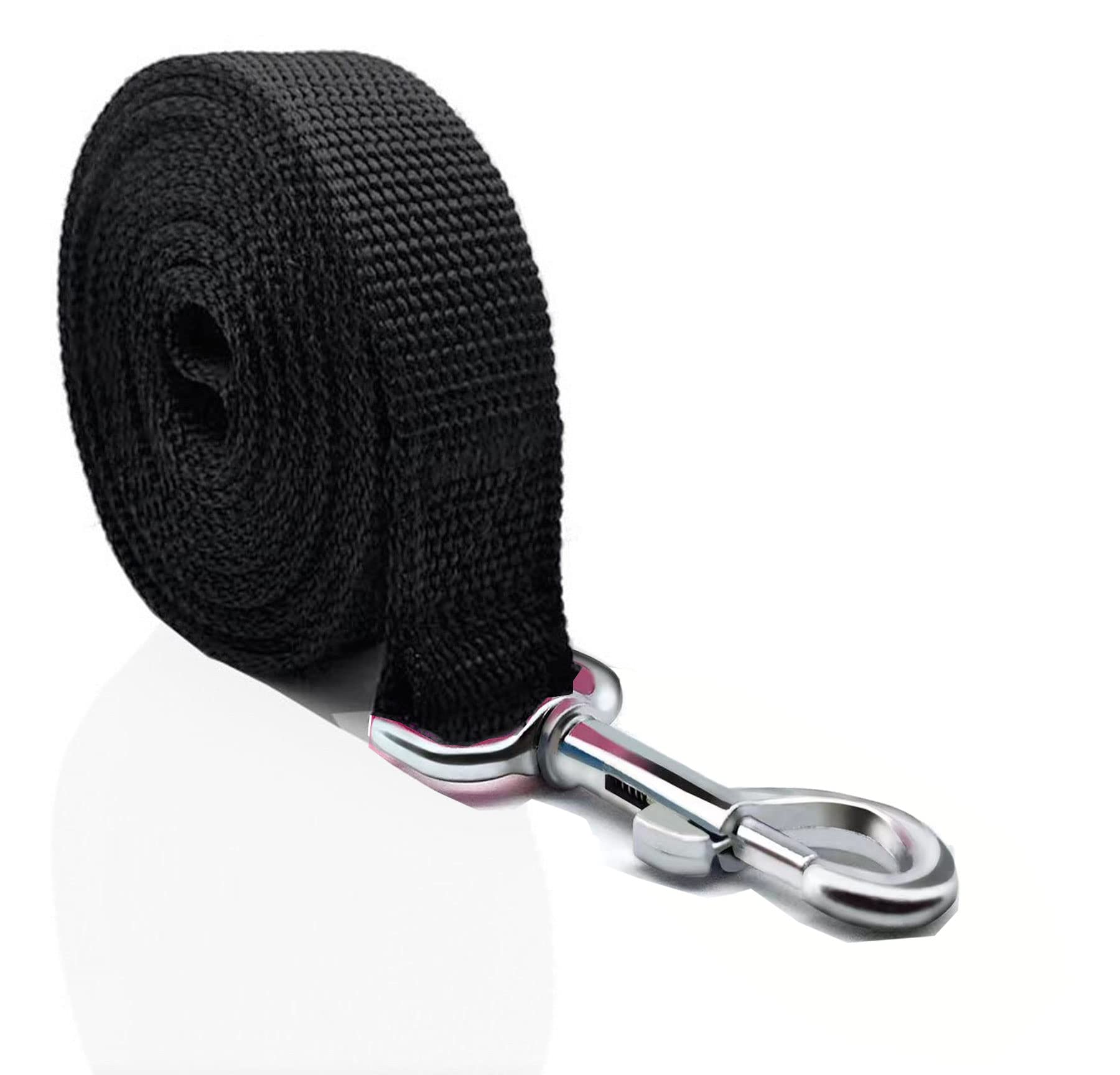 Nylon Dog Leash 8 Feet Long, Walking Training Dog Leashes For Medium Large Dogs(1'' X 8 Ft, Black)