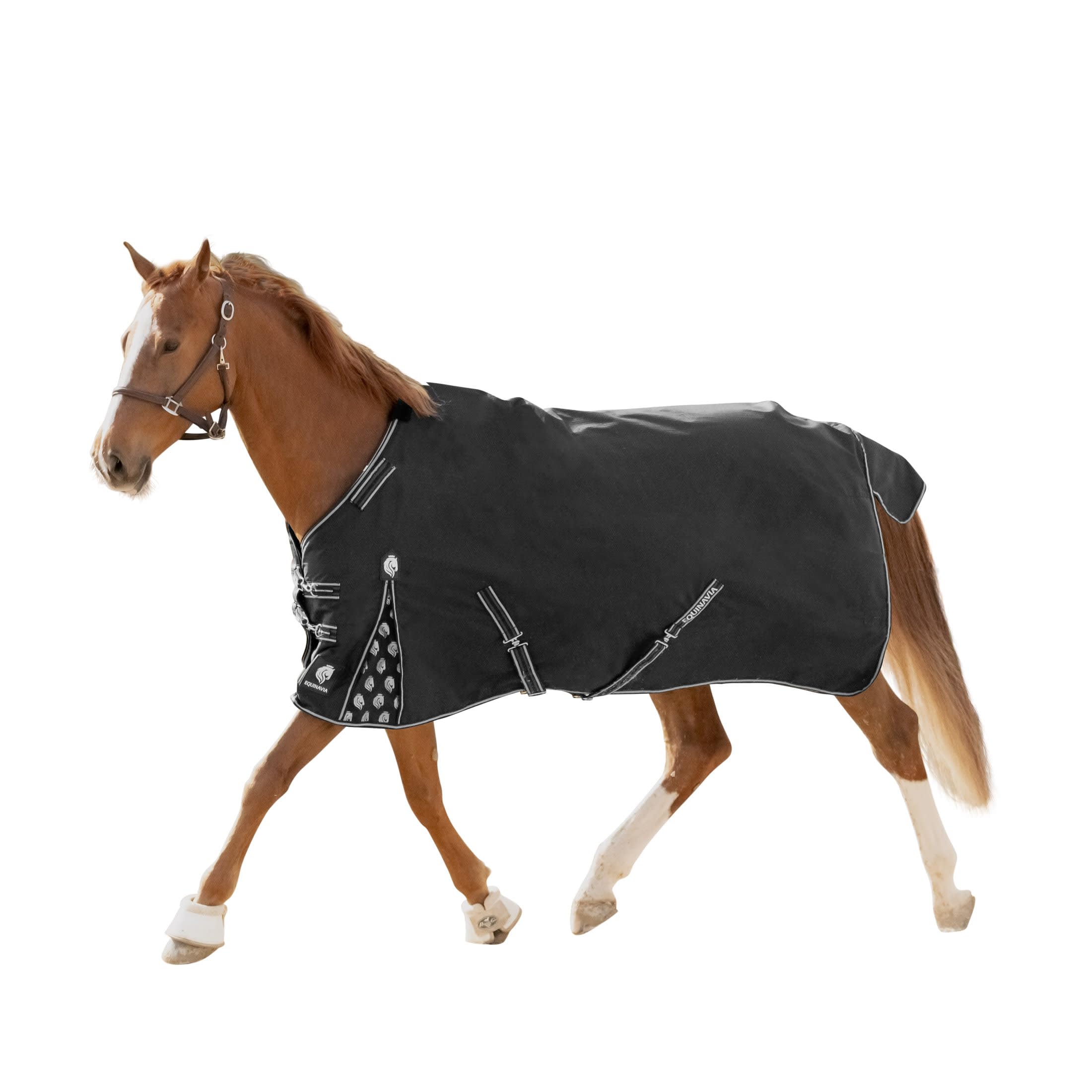 Equinavia Norse 200G Medium Weight Horse Blanket | Waterproof Winter Turnout - Black - 66 In - Black - 81 In