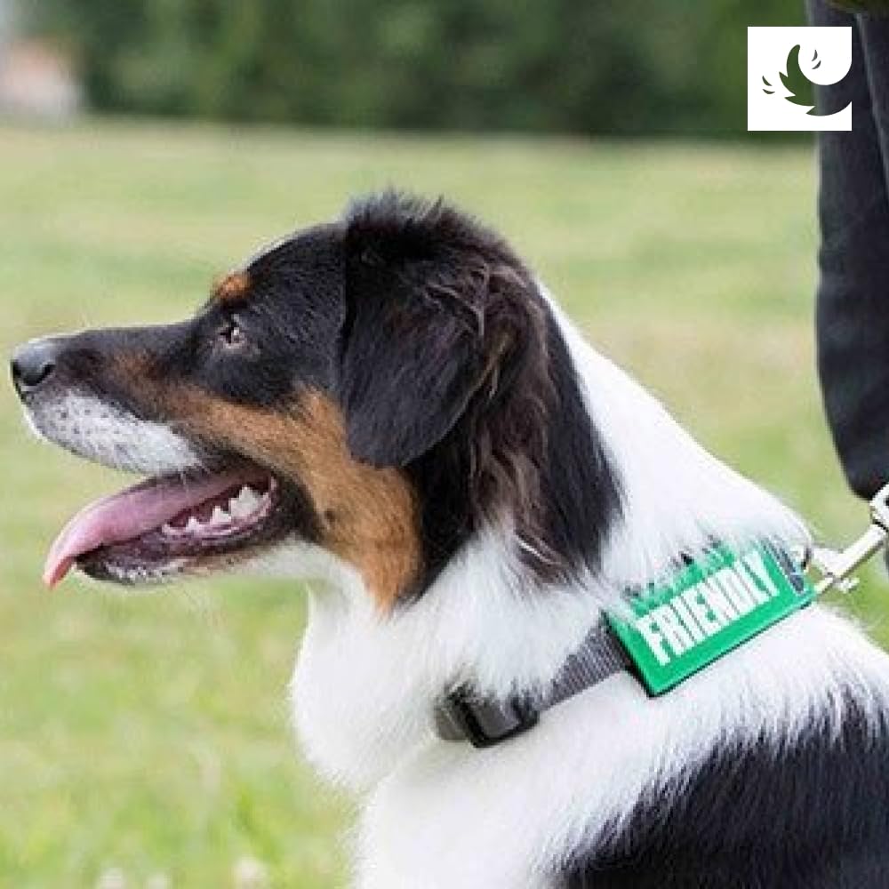 Canine Friendly Bark Notes Patch For Collar Or Leash, 3/4' Width