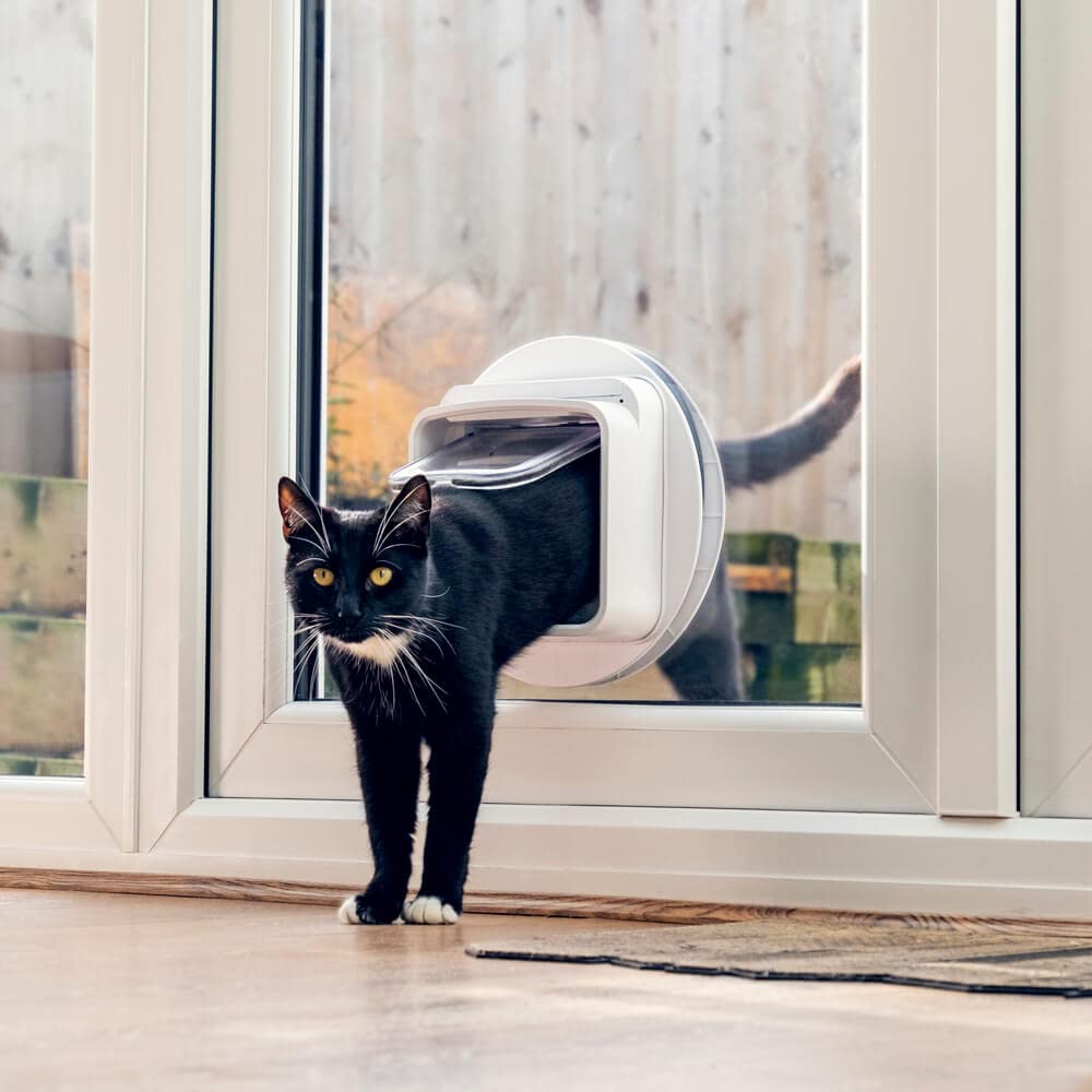 SureFlap Microchip Pet Door - 6.75"x7" Flap, Small, White, Model iMPDWT, Plastic