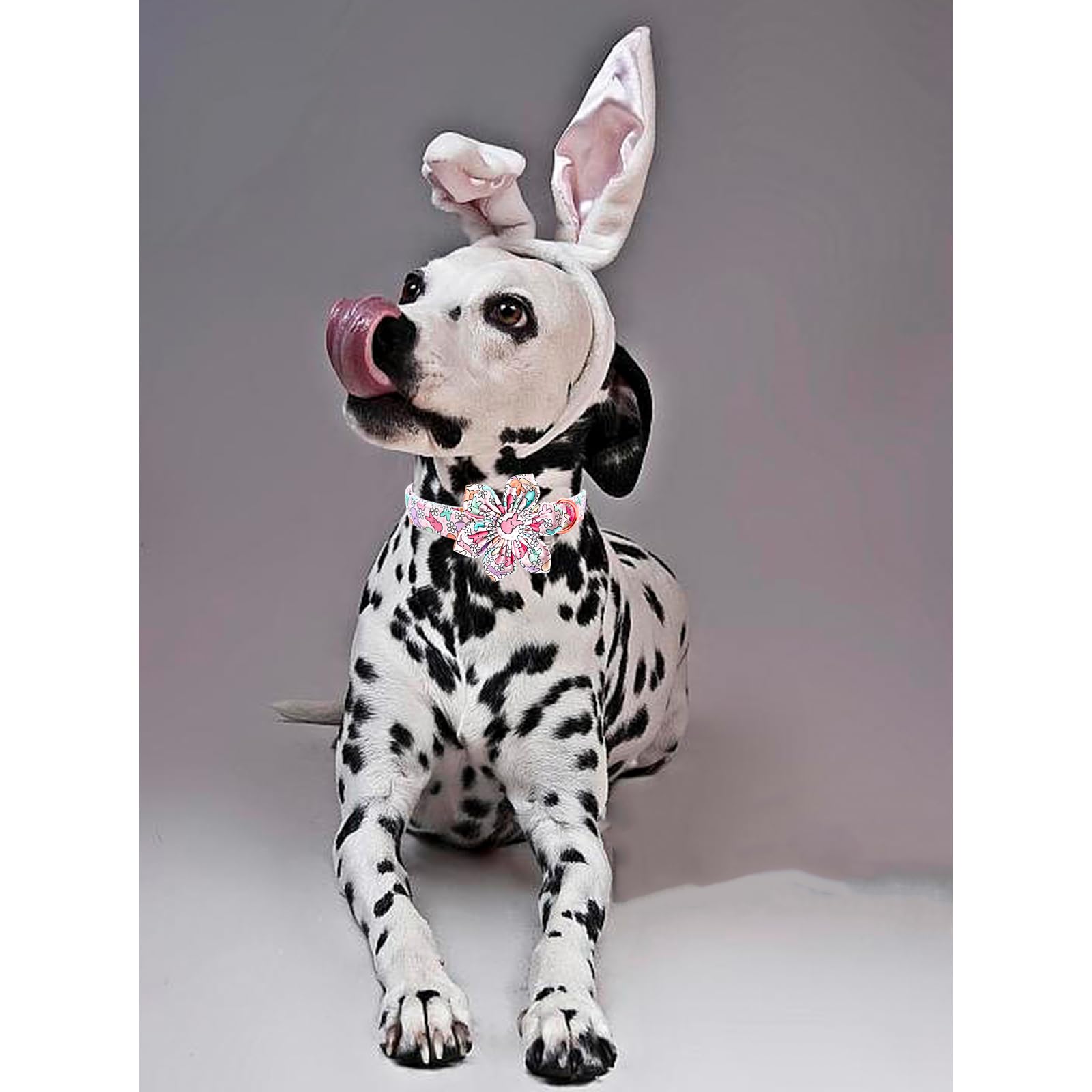 Lionheart Glory Easter Day Flower Dog Collar For Small Dogs, Rabbits - Colorful Spring Collar With Flowers