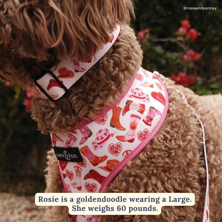 Lucy & Co. Bandana - Designer Puppy Accessory - Machine Washable - Durable Comfortable Bandana For Dogs. Howdy, Honey Bandana