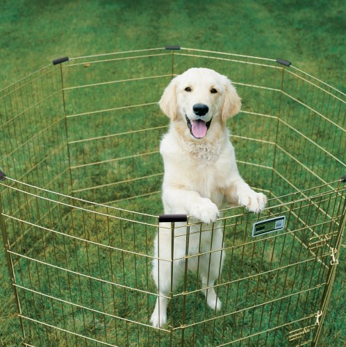 MidWest Homes for Pets Foldable Metal Dog Exercise Pen, 30"H x 24"W, Gold Zinc with Door, 1-Year Warranty, Model B00063KG0K