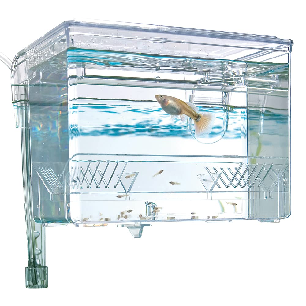 Fluval Multi-Chamber Holding And Breeding Box, Medium