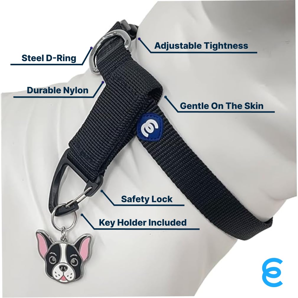 Blueberry Pet Essentials Matching Large Dog Collar & Key Holder Set | Adjustable Classic Solid Color Nylon Dog Collars For Large
