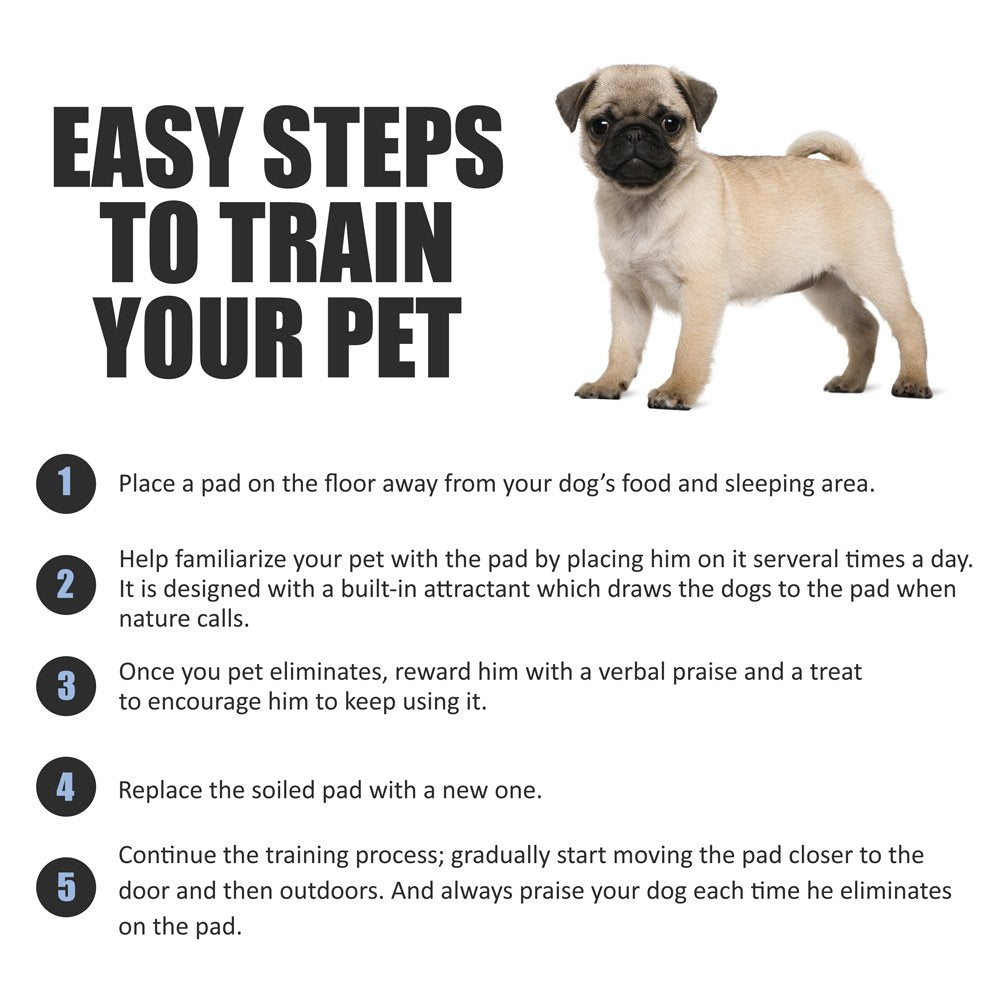 BV Pet Training Pads for Dogs, X-Large 28" x 34", 20-Count Disposable Blue Dog Pee Pads, Quick Absorb, Model BV-PE-PAD-34-20