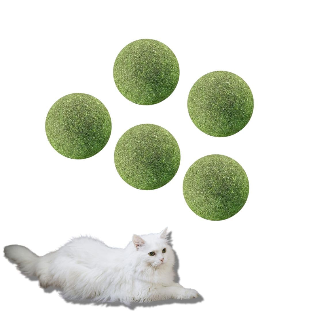 Pet Fun Catnip Toy 6Pcs For Cats | Natural Catnip Mint Edible Licking & Chewing Toys | Teeth Cleaning & Hairball Control  Bean 