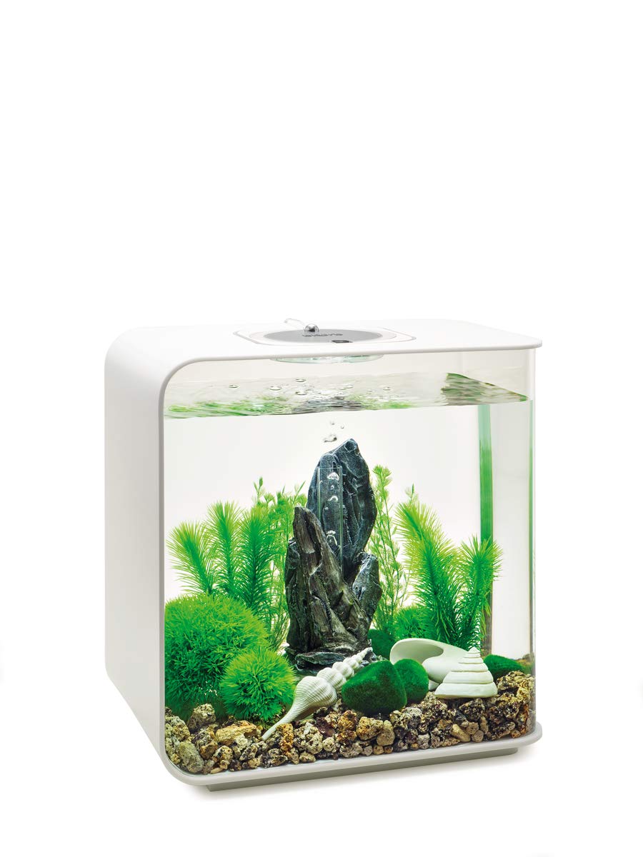 Biorb Decor Set - 30L Stone Garden, Medium