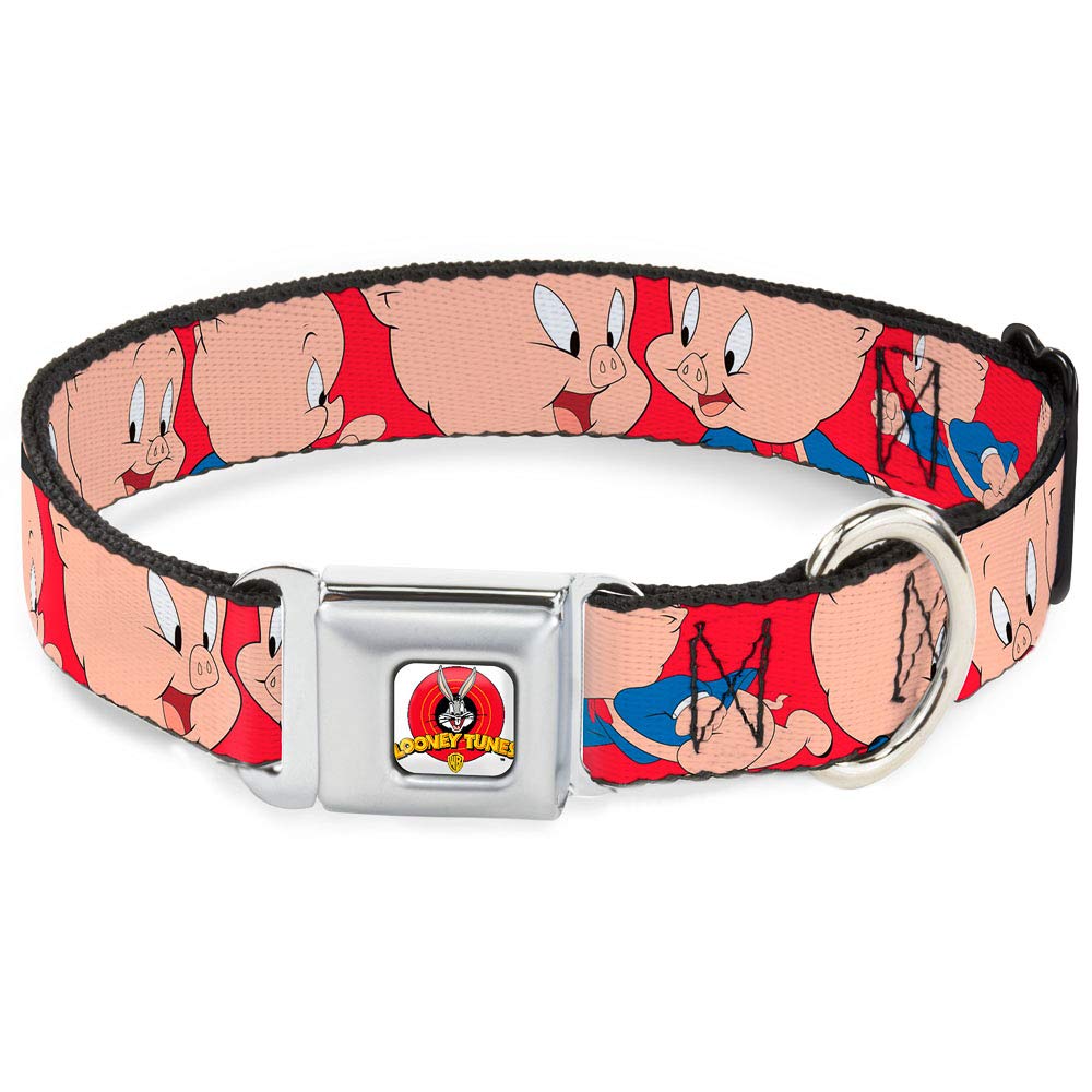 Dog Collar Seatbelt Buckle Porky Pig Expressions Red 11 To 17 Inches 1.0 Inch Wide