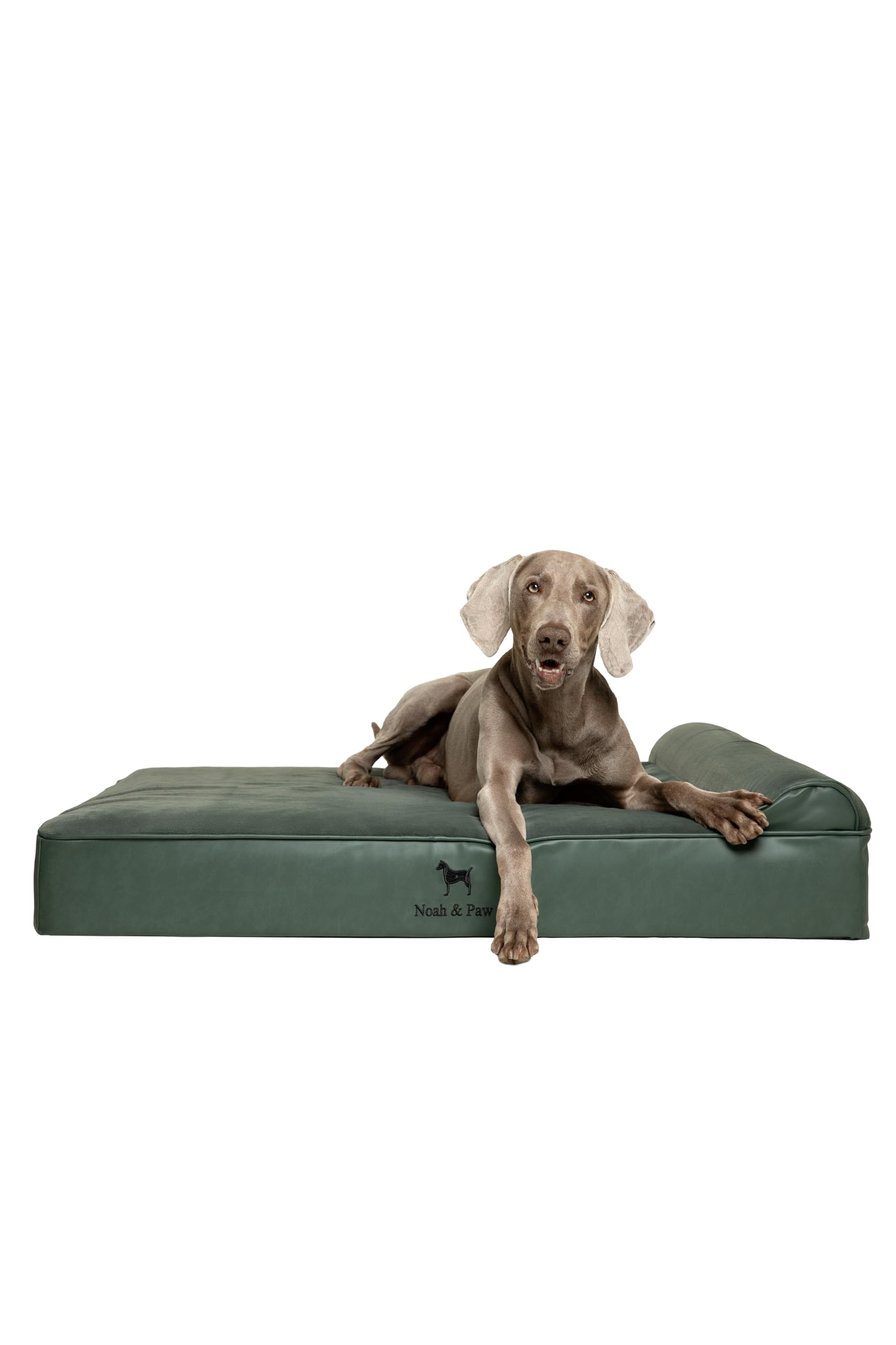 NOAH & PAW XL Dog Bed, 45x35x11 Inch, Orthopedic Large Dog Beds, Eggshell Memory Foam Infused with Cooling Gel, Waterproof, Mach
