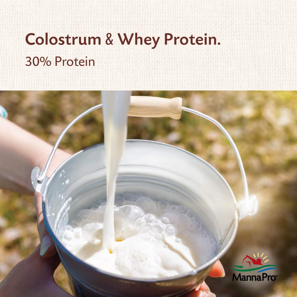 Manna Pro Goat Kid Colostrum Supplement - Feed for First 24 Hours of Life - Helps Promote Healthy Development - Fortified with V