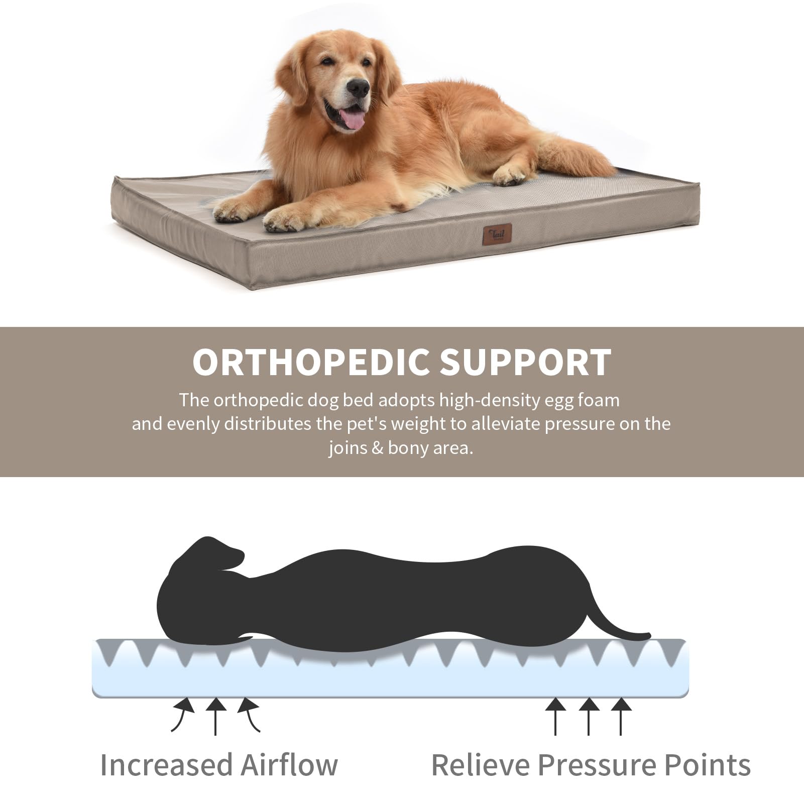 Tail Stories Orthopedic Dog Bed, Waterproof Oxford, Large 36"x27"x3", Khaki, Removable Cover, Egg Crate Foam