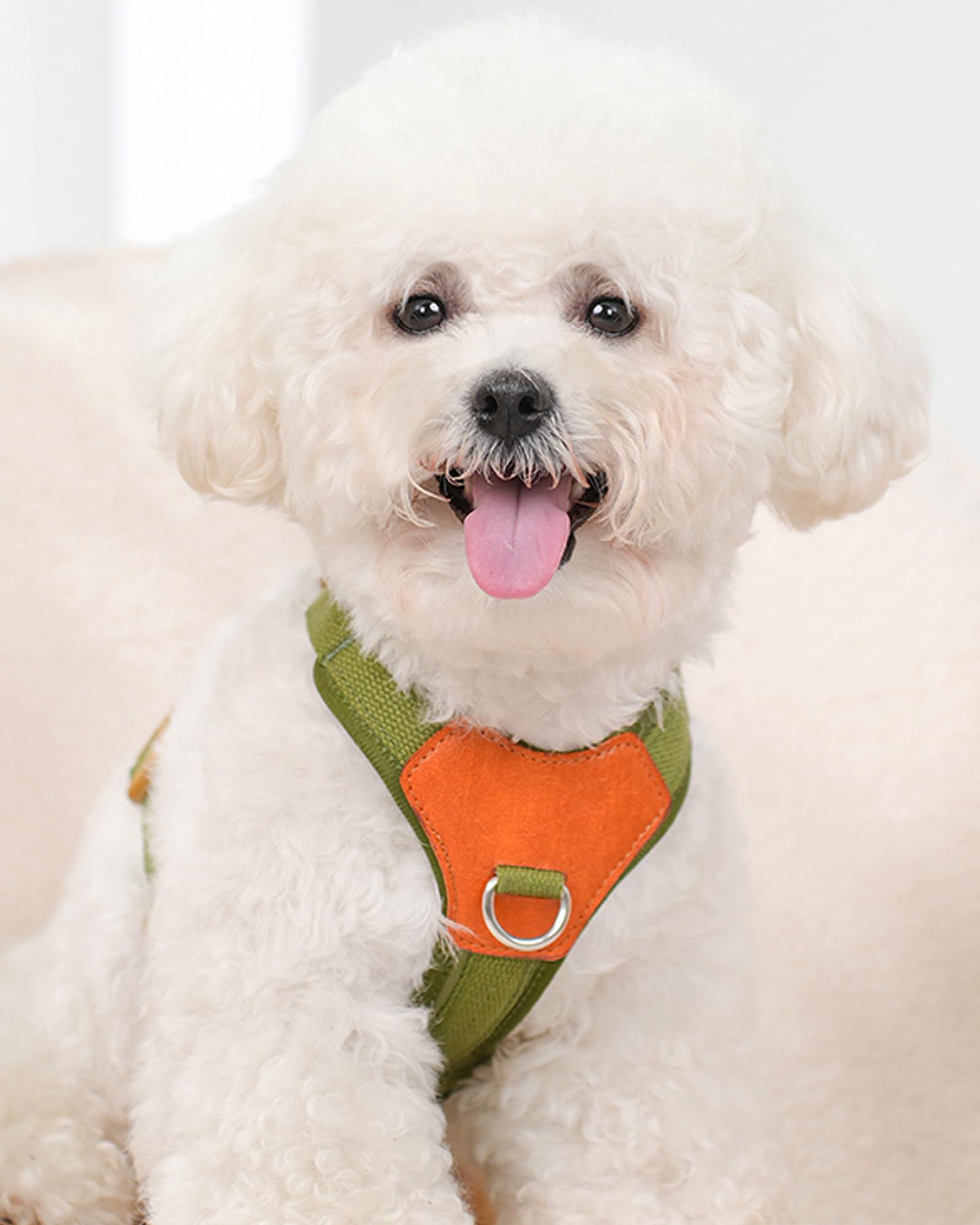 Green Medium Dog Harness For Medium Dogs, No Pull Dog Harness With 2 Leash Clips, Puppy Harness, Dog Vest Harness(Green, M)