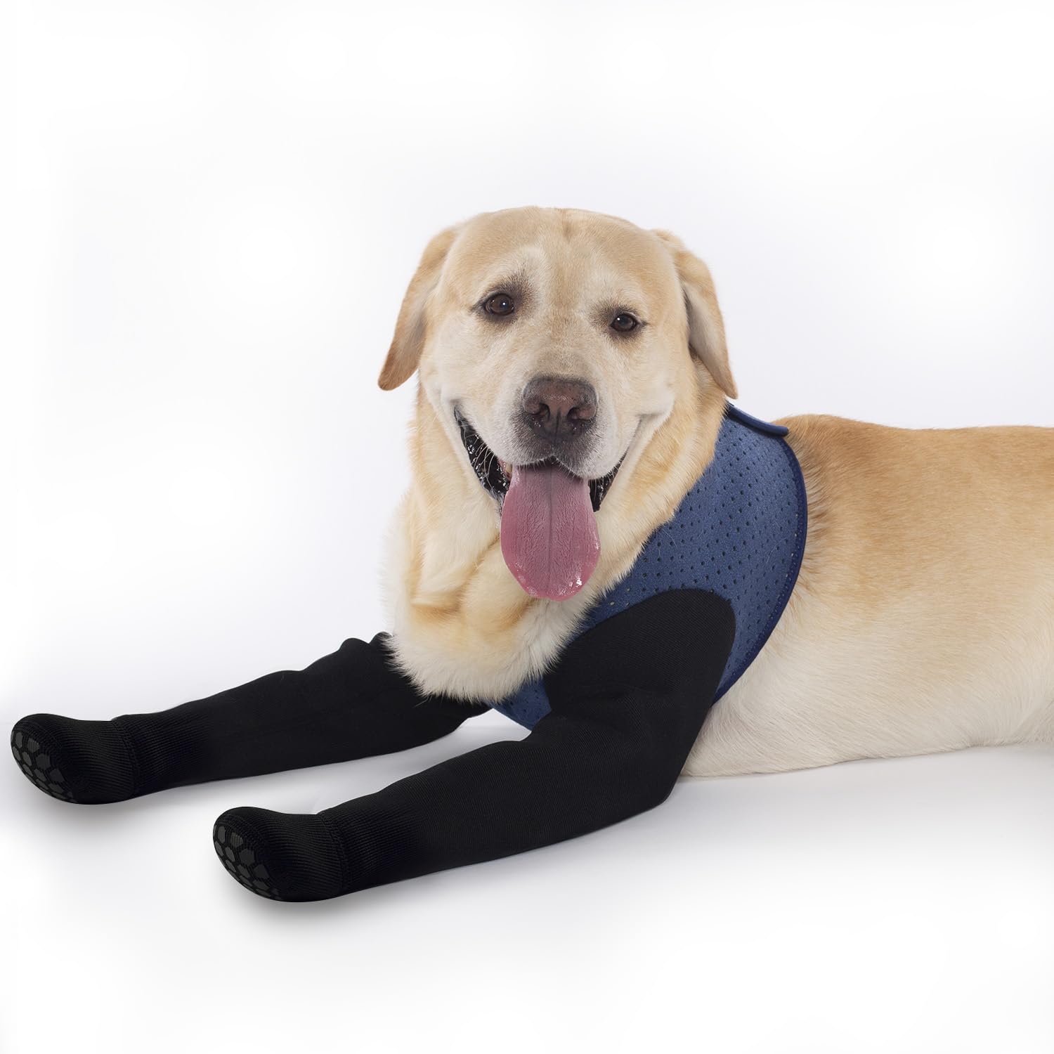 COODEO Dog Socks to Prevent Licking Paws, Dog Healing Bootss & Paw Protectors with Non-Slip Bottoms to Protect Wounds, Waterproo